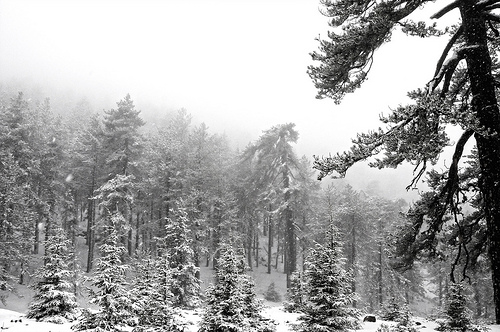 The Pennsylvania side of the Delaware Water Gap - autumn