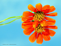 4120218160_f7795115b0_m