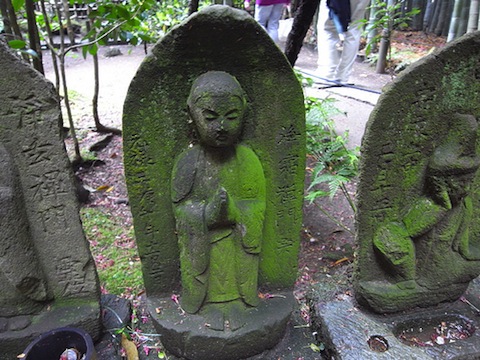 5645617377_231561e321