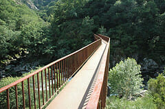 2101891786_f46086a13f_m