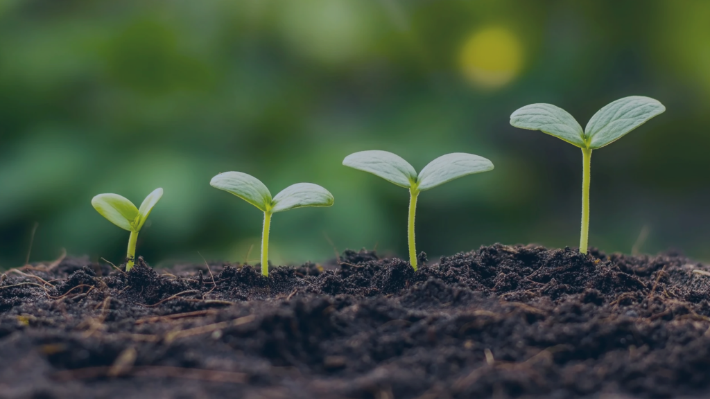 How to Build a Business That Can Grow Without You How to Build a Business That Can Grow Without You