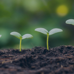 How to Build a Business That Can Grow Without You