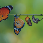 9 Shifts Every Marketing Agency Needs to Make